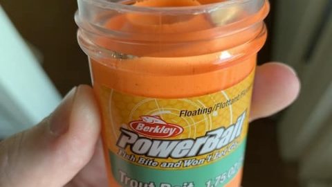 bright orange powerbait