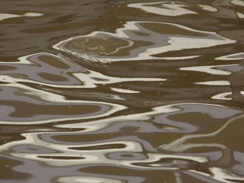 muddy water